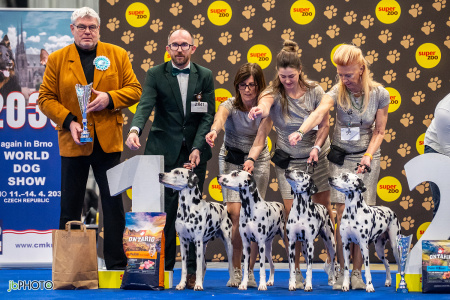 26_NV_BRNO_SO (203) - kopie