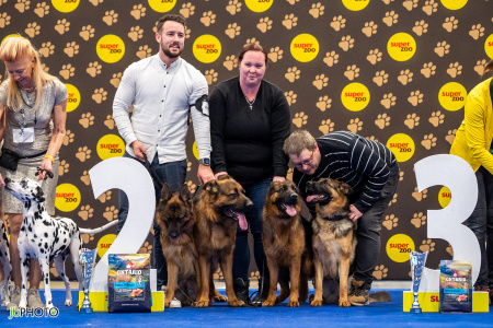 26_NV_BRNO_SO (205) - kopie