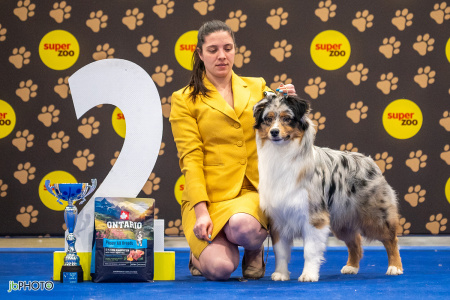 26_NV_BRNO_SO (234) - kopie