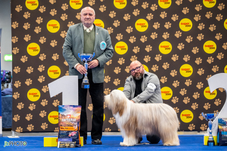 26_NV_BRNO_SO (235) - kopie