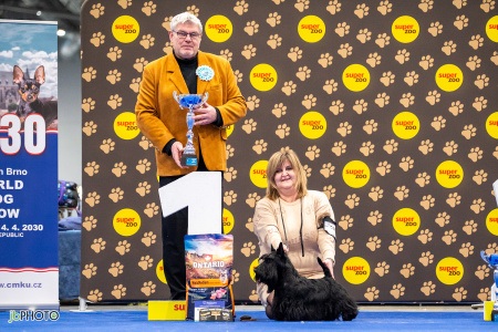 26_NV_BRNO_SO (259) - kopie