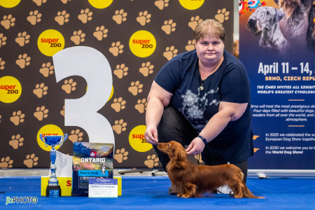 26_NV_BRNO_SO (266) - kopie