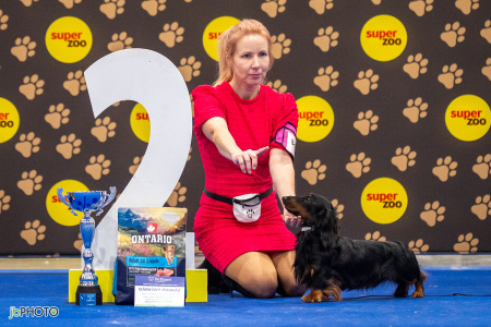 26_NV_BRNO_SO (268) - kopie