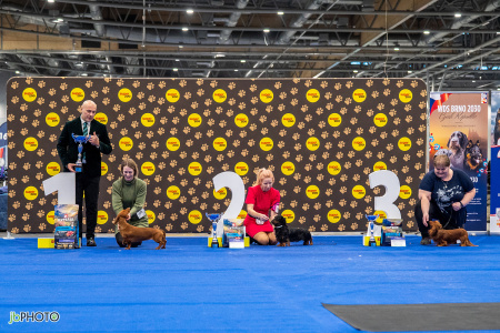 26_NV_BRNO_SO (270) - kopie