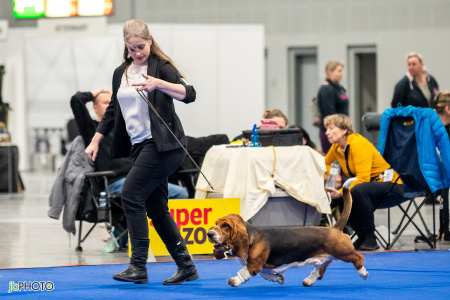 26_NV_BRNO_SO (283) - kopie