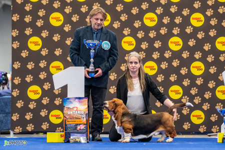 26_NV_BRNO_SO (290) - kopie