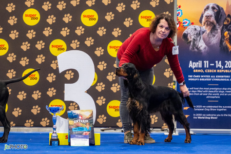 26_NV_BRNO_SO (304) - kopie