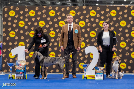 26_NV_BRNO_SO (332) - kopie