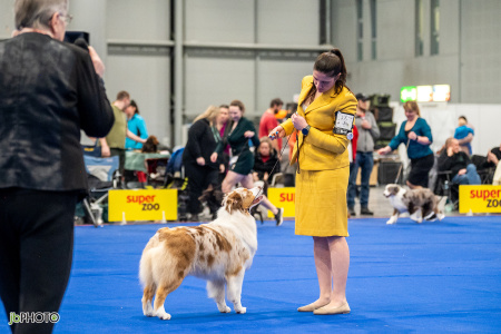 26_NV_BRNO_SO (344) - kopie