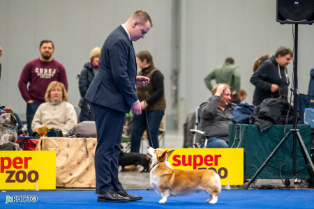 26_NV_BRNO_SO (348) - kopie