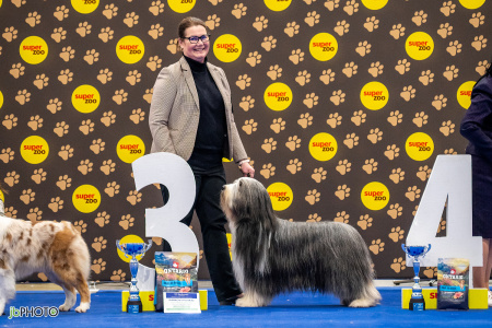 26_NV_BRNO_SO (367) - kopie