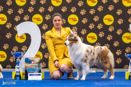 26_NV_BRNO_SO (368) - kopie