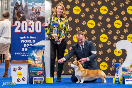 26_NV_BRNO_SO (369) - kopie