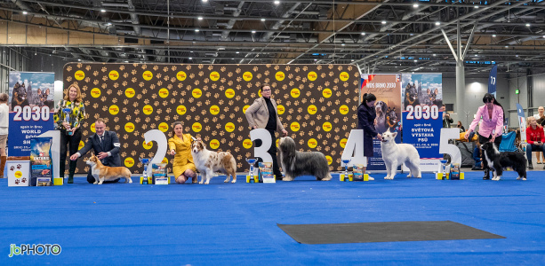 26_NV_BRNO_SO (370) - kopie