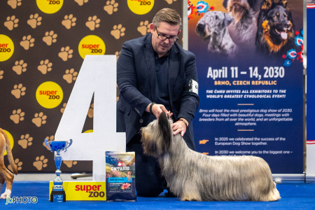 26_NV_BRNO_SO (392) - kopie