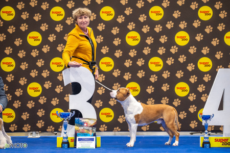 26_NV_BRNO_SO (395) - kopie