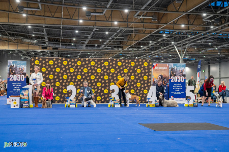 26_NV_BRNO_SO (398) - kopie