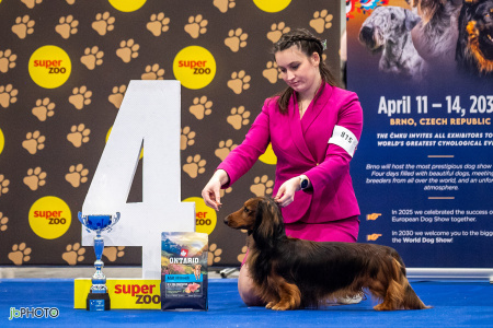 26_NV_BRNO_SO (418) - kopie