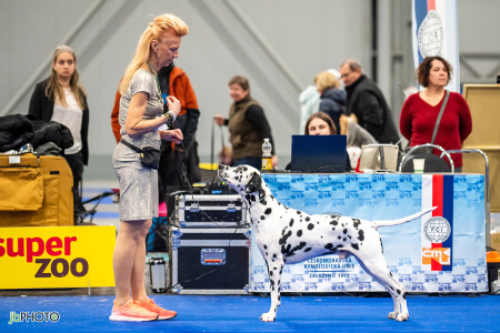 26_NV_BRNO_SO (427) - kopie