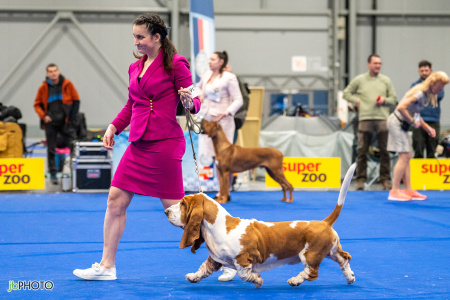 26_NV_BRNO_SO (443) - kopie