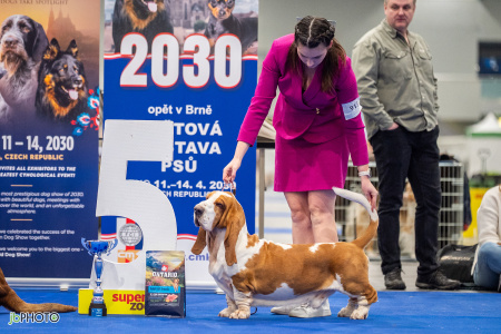 26_NV_BRNO_SO (448) - kopie