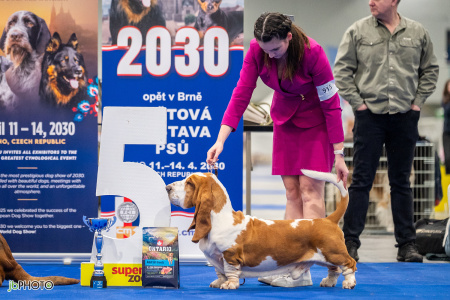 26_NV_BRNO_SO (449) - kopie