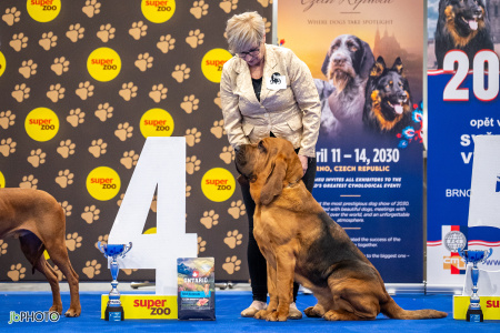 26_NV_BRNO_SO (450) - kopie