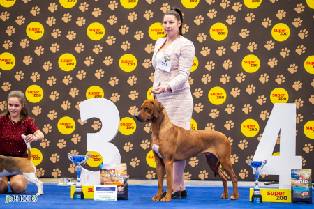 26_NV_BRNO_SO (452) - kopie