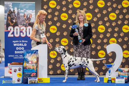 26_NV_BRNO_SO (455) - kopie