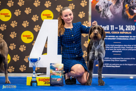 26_NV_BRNO_SO (482) - kopie