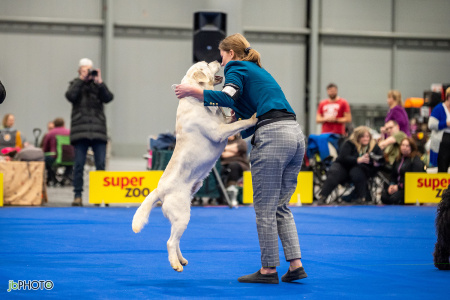 26_NV_BRNO_SO (500) - kopie