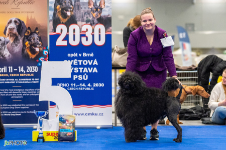 26_NV_BRNO_SO (510) - kopie