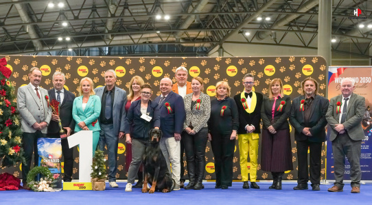 LH207301_hajekphotography.cz