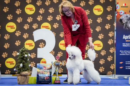 LH104841_hajekphotography.cz