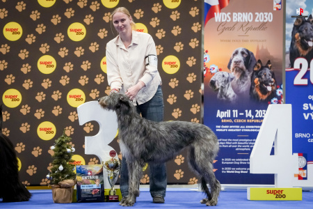 LH105451_hajekphotography.cz