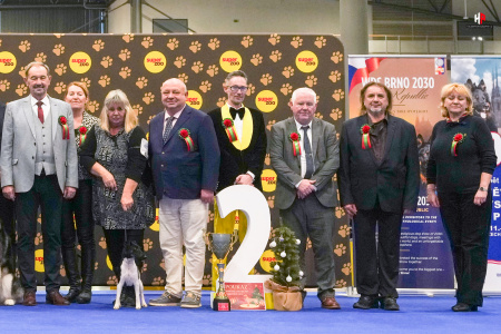 LH207376_hajekphotography.cz