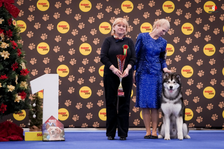 LH102836_hajekphotography.cz