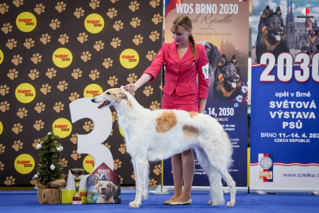 LH108795_hajekphotography.cz