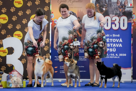 LH101760_hajekphotography.cz