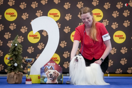 LH100607_hajekphotography.cz