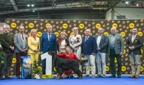 LH206916_hajekphotography.cz