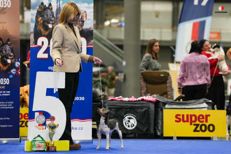 LH102792_hajekphotography.cz