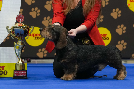 LH103187_hajekphotography.cz