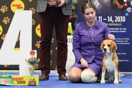 LH103811_hajekphotography.cz