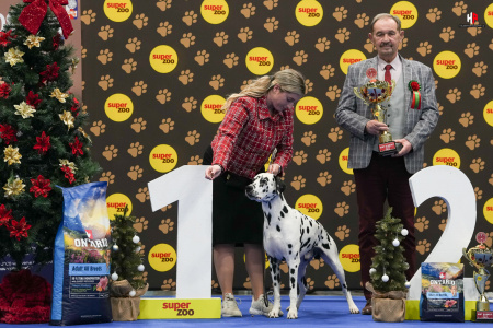 LH103853_hajekphotography.cz