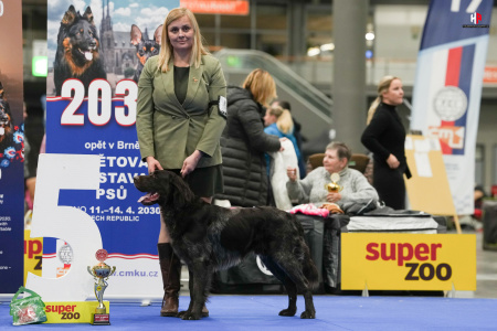 LH104307_hajekphotography.cz