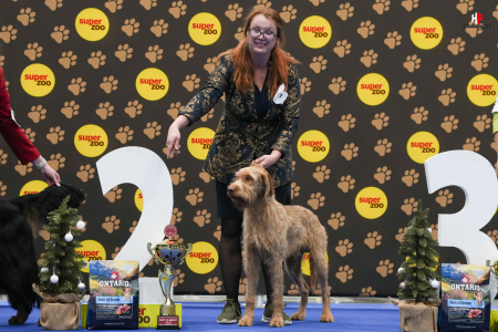 LH104339_hajekphotography.cz