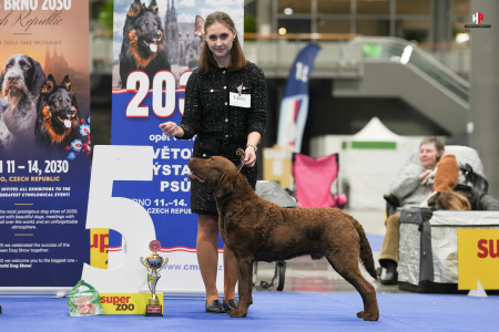 LH104683_hajekphotography.cz