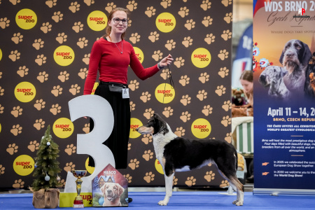 LH108586_hajekphotography.cz