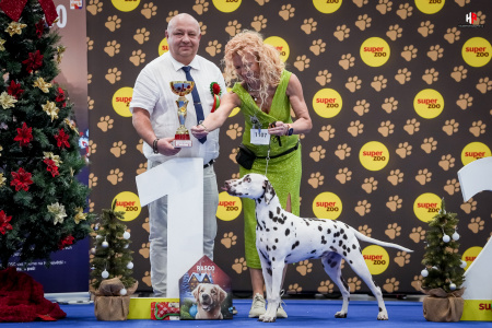 LH107295_hajekphotography.cz